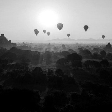 Praesent elit commodo