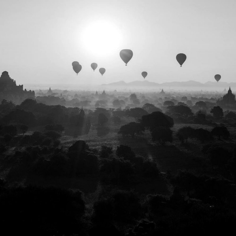 Praesent elit commodo