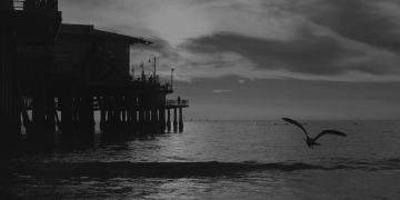 Aliquam Rhoncus amet Maecenas sed nisl