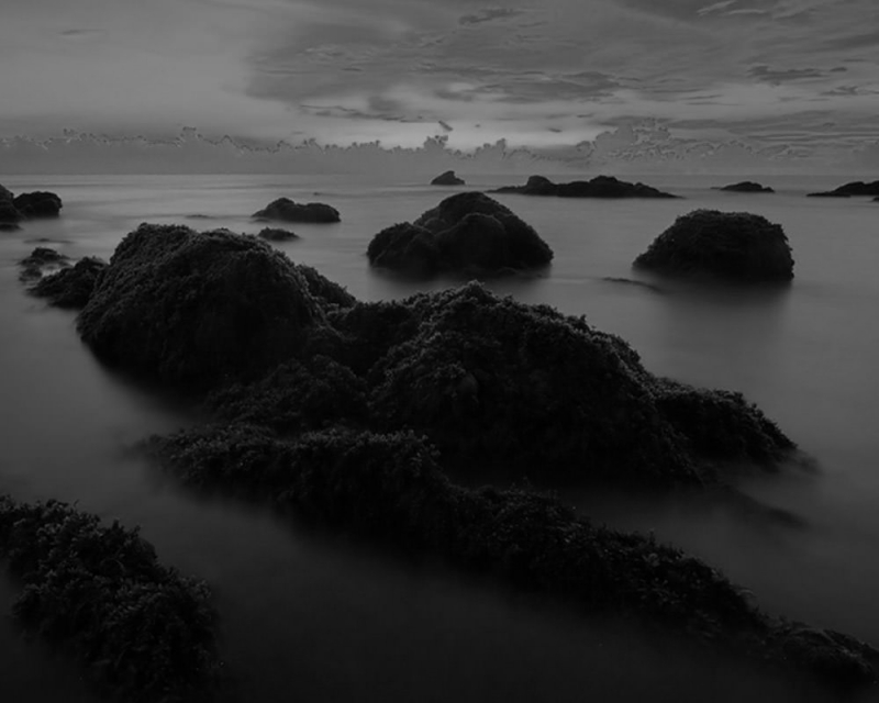 Arcu tortor suscipit vitae