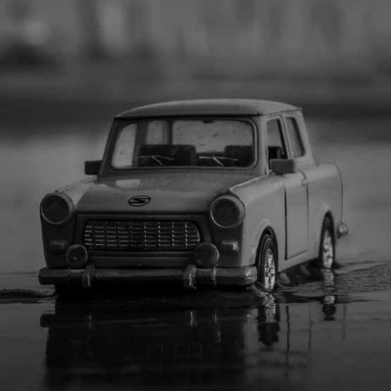 Duis felis elit scelerisque