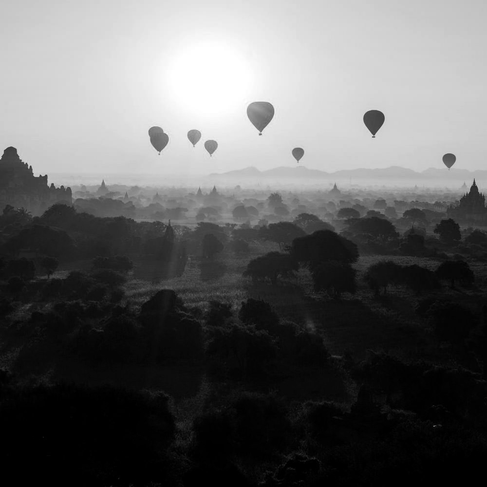 Praesent elit commodo